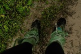 DSC05344.jpg