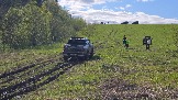 20250508_172035.jpg