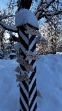 IMG_3640.JPG