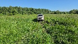 20260606_152506.jpg
