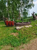 IMG_20260613_134907_467.jpg
