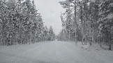 20251122_102257.jpg