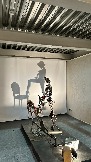 IMG_1081.jpg