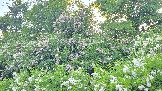 20260530_195431.jpg