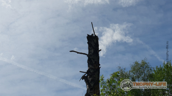 Фото Трофи-лайф 4х4 покатушка Новоистринские Просеки 04.06.22 - 512.jpg