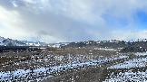 IMG_8730.jpg