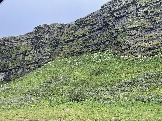 IMG_9444.jpeg