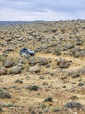 Трофи-лайф Экспедиция Казахстан Май 2024 (30).jpg