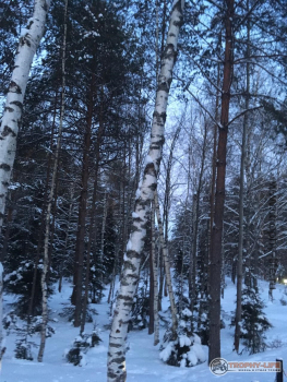 Фото Трофи-лайф 4х4 покатушка Ярославские Святыни 06.02.21 - 117.jpeg