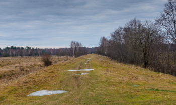 _DSC6743.jpg