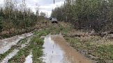 20250426_121209.jpg