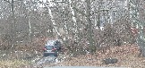 20241130_115148.jpg