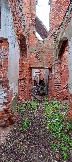 IMG_20231106_133543.jpg