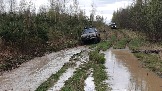 20250426_121248.jpg