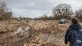 20250202_150916.jpg