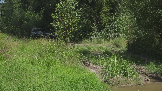 Трофи-лайф фото 4х4 Джип-тур в Подмосковье 24.07.2024 -  (66).png