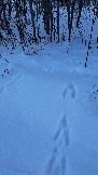 IMG_3031.JPG