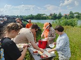 IMG_20260612_150422_202.jpg