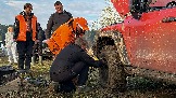 IMG_7583.jpg