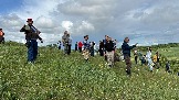 IMG_1290.jpg