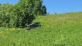 20260606_132632.jpg