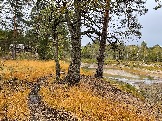 IMG_5637.JPG