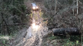 Моментальный снимок 39 (08.11.2023 12-34).png
