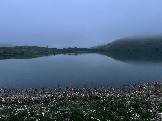 IMG_8577.JPEG