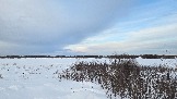20260222_163750.jpg