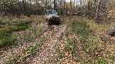 Трофи-лайф фото 4х4 покатушка Чеховские Медведи 10.10.2026 - 377.jpg