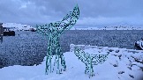 20251125_133012.jpg