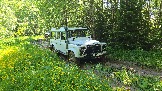 20260606_115058.jpg