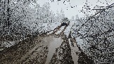 20251115_113235.jpg