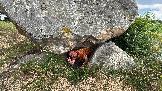 IMG_1227.jpg