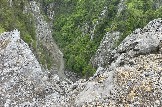 IMG_8507.JPEG