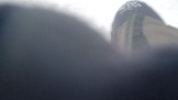 20231216_144137.jpg