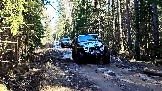 Трофи-лайф фото 4х4 покатушка Дмитровская Игрушка 08.03.2025 - (14).jpg