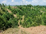 IMG_20260612_132936_248.jpg