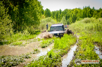 _MG_1865.jpg