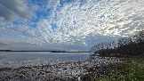 20260501_175438.jpg