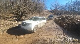 20250308_115052.jpg