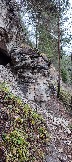 IMG_20231105_111428.jpg