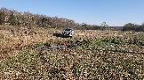 20250420_165725.jpg