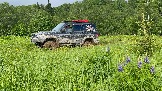 IMG_8774.JPG