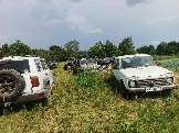 IMG_20260612_150458_347.jpg