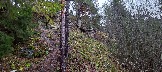IMG_20231105_112053.jpg