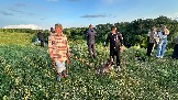 IMG_1400.jpg