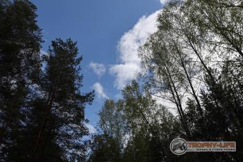 Фото Трофи-лайф 4х4 покатушка-экспедиция Мещерские Озёра 8-9.05 (95).jpg