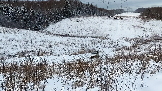 Трофи-лайф фото 4х4 покатушка Рогачёвские Сокровища 14.12.2024 - (77).png