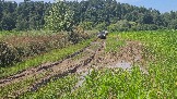 20260801_135318.jpg